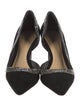 Alexandre Birman Suede Crystal Embellishments D'Orsay Pumps