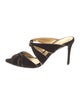 Alexandre Birman Velvet Slides
