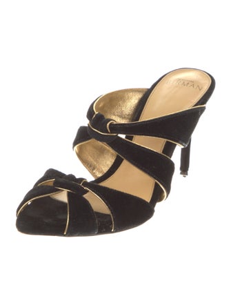 Alexandre Birman Velvet Slides
