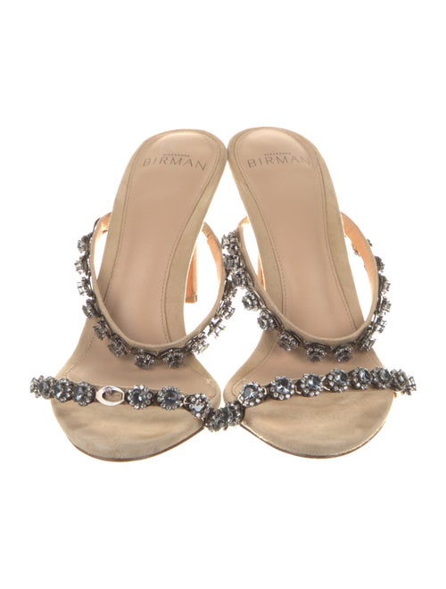 Alexandre Birman Suede Crystal Embellishments Slides