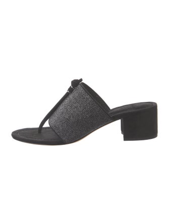 Alexandre Birman Suede Slides