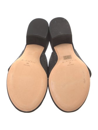 Alexandre Birman Suede Slides