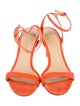 Alexandre Birman Suede Sandals