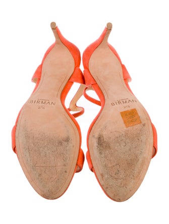 Alexandre Birman Suede Sandals