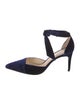 Alexandre Birman Suede D'Orsay Pumps