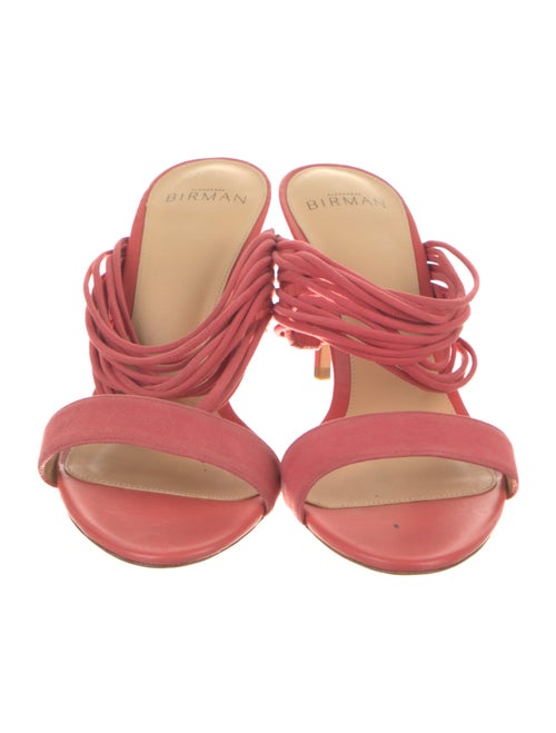 Alexandre Birman Suede Slides