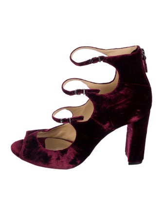 Alexandre Birman Velvet Pumps