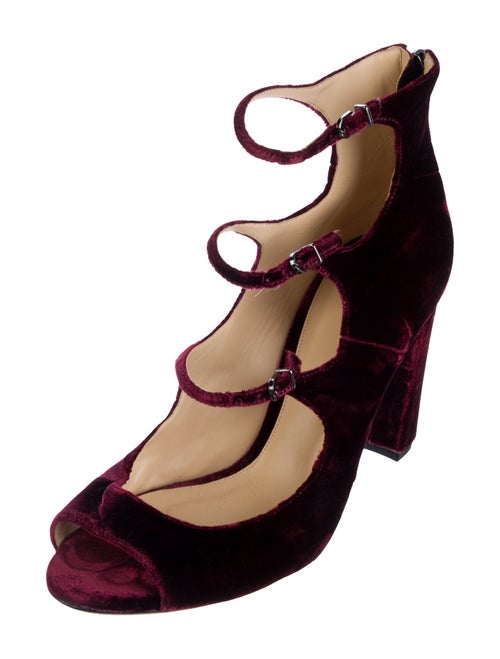 Alexandre Birman Velvet Pumps