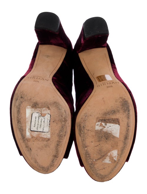 Alexandre Birman Velvet Pumps