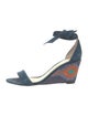 Alexandre Birman Suede Sandals