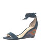 Alexandre Birman Suede Sandals