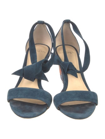 Alexandre Birman Suede Sandals