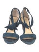 Alexandre Birman Suede Sandals