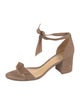 Alexandre Birman Suede Sandals