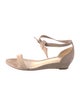 Alexandre Birman Suede Sandals