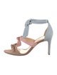 Alexandre Birman Suede Bow Accents T-Strap Pumps