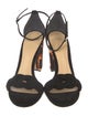 Alexandre Birman Suede Sandals