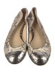 Alexandre Birman Snakeskin Animal Print Flats