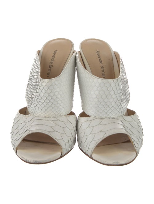 Alexandre Birman Leather Slides