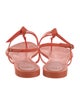 Alexandre Birman Rubber T-Strap Sandals