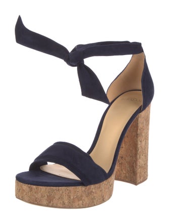 Alexandre Birman Suede Sandals