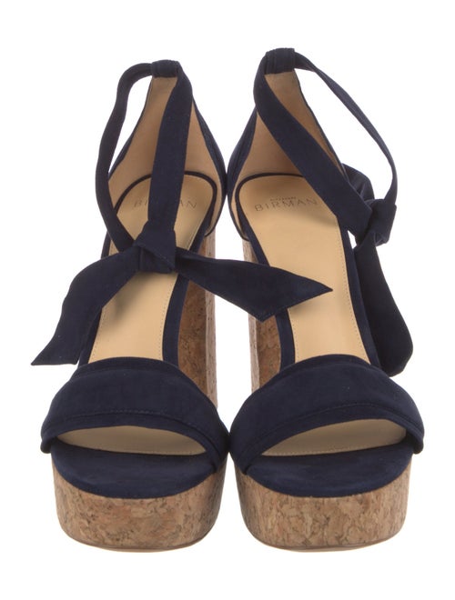 Alexandre Birman Suede Sandals