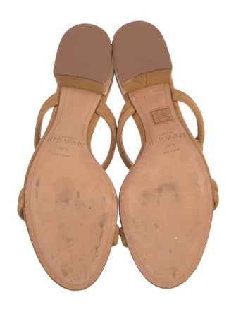 Alexandre Birman Suede Braided Accents Slides