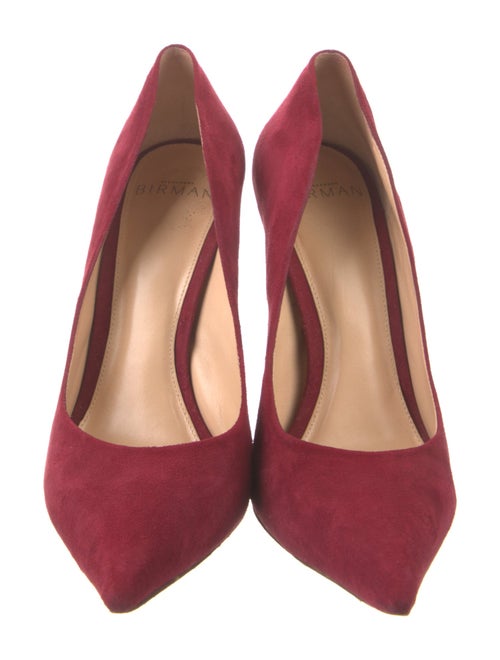 Alexandre Birman Suede Pumps