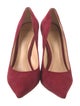 Alexandre Birman Suede Pumps