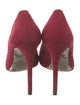 Alexandre Birman Suede Pumps