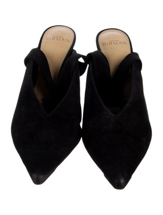 Alexandre Birman Suede Pumps