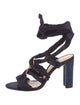 Alexandre Birman Suede Sandals