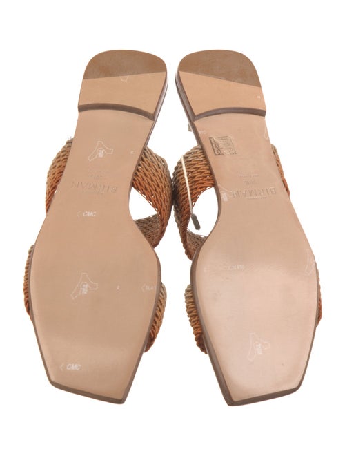 Alexandre Birman Slides