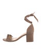 Alexandre Birman Suede Bow Accents Gladiator Sandals