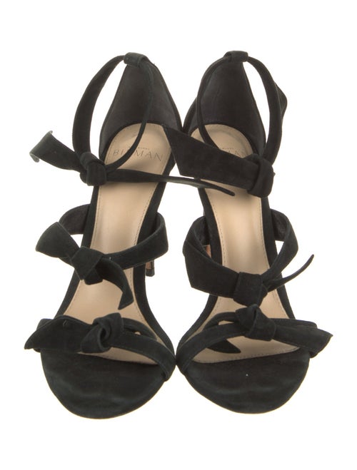 Alexandre Birman Suede Sandals