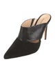 Alexandre Birman Suede Mules