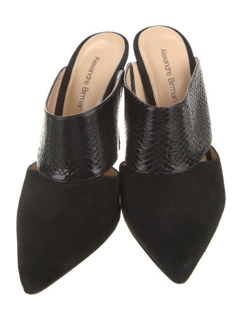 Alexandre Birman Suede Mules