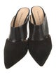Alexandre Birman Suede Mules