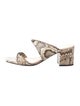 Alexandre Birman Leather Animal Print Slides
