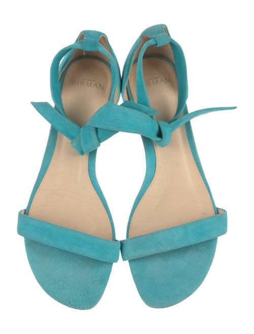 Alexandre Birman Suede Sandals