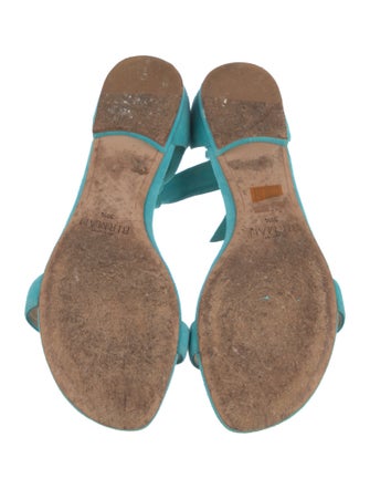 Alexandre Birman Suede Sandals