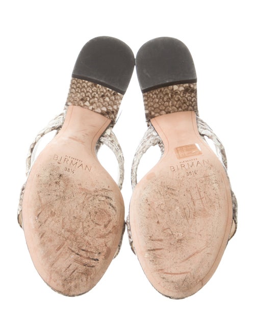 Alexandre Birman Snakeskin Animal Print Slides