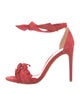 Alexandre Birman Suede Sandals