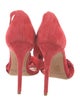 Alexandre Birman Suede Sandals