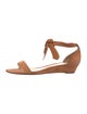 Alexandre Birman Suede Sandals