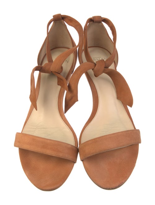 Alexandre Birman Suede Sandals
