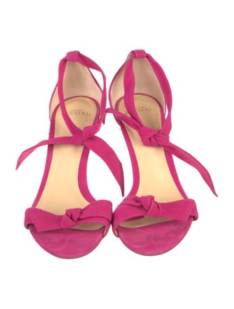 Alexandre Birman Suede Sandals