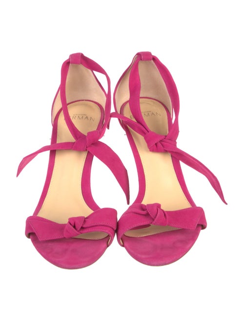 Alexandre Birman Suede Sandals