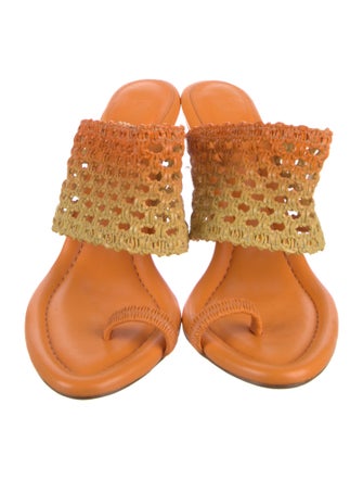 Alexandre Birman Slides