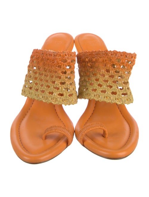 Alexandre Birman Slides